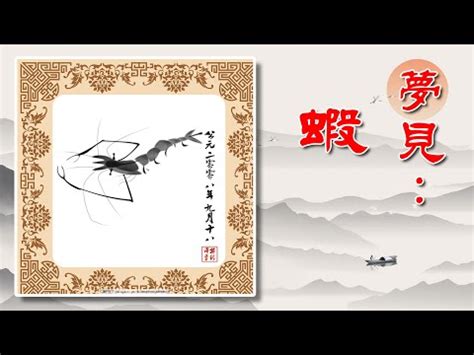 夢到蝦子號碼|夢見蝦子代表號碼